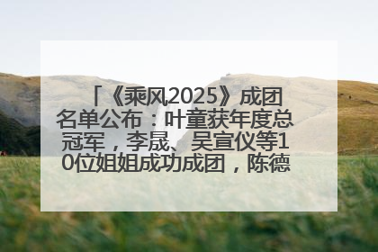 《乘风2025》成团名单公布：叶童获年度总冠军，李晟、吴宣仪等10位姐姐成功成团，陈德容获年度高光人物