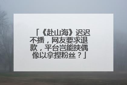 《赴山海》迟迟不播，网友要求退款，平台岂能挟偶像以拿捏粉丝？