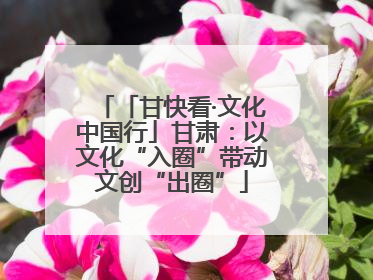 「甘快看·文化中国行」甘肃：以文化“入圈”带动文创“出圈”
