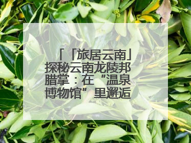 「旅居云南」探秘云南龙陵邦腊掌：在“温泉博物馆”里邂逅诗意康养生活