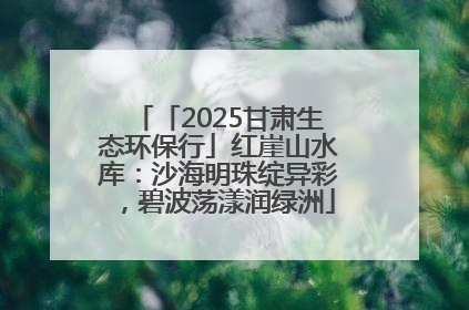 「2025甘肃生态环保行」红崖山水库：沙海明珠绽异彩，碧波荡漾润绿洲