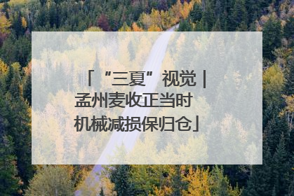 “三夏”视觉｜孟州麦收正当时 机械减损保归仓
