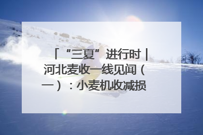 “三夏”进行时｜河北麦收一线见闻（一）：小麦机收减损“竞技” 农机高手麦田“过招”