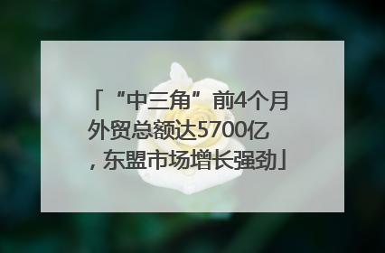 “中三角”前4个月外贸总额达5700亿，东盟市场增长强劲
