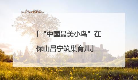 “中国最美小鸟”在保山昌宁筑巢育儿