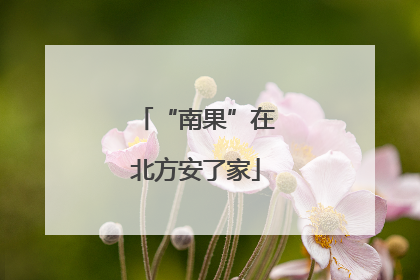 “南果”在北方安了家