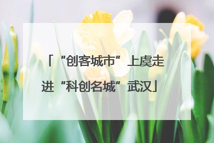 “创客城市”上虞走进“科创名城”武汉