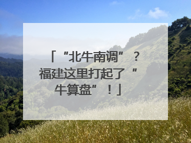 “北牛南调”？福建这里打起了“牛算盘”！