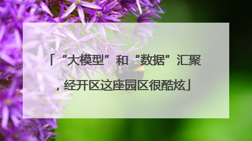 “大模型”和“数据”汇聚，经开区这座园区很酷炫