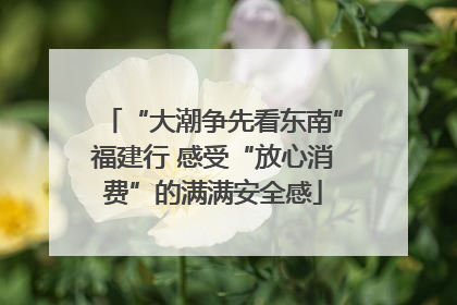 “大潮争先看东南”福建行 感受“放心消费”的满满安全感