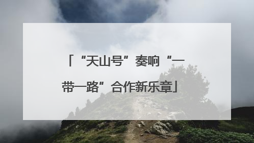 “天山号”奏响“一带一路”合作新乐章