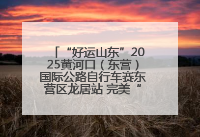 “好运山东”2025黄河口（东营）国际公路自行车赛东营区龙居站 完美“抄作业”，苦战最后时刻黄衫易主