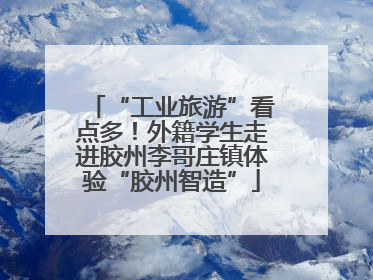 “工业旅游”看点多！外籍学生走进胶州李哥庄镇体验“胶州智造”