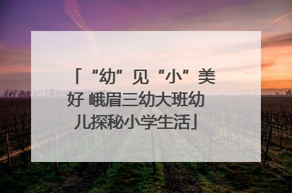 “幼”见“小”美好 峨眉三幼大班幼儿探秘小学生活