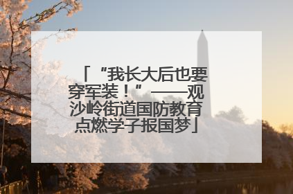 “我长大后也要穿军装！”——观沙岭街道国防教育点燃学子报国梦