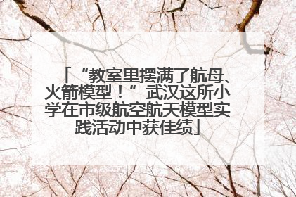 “教室里摆满了航母、火箭模型！”武汉这所小学在市级航空航天模型实践活动中获佳绩