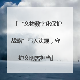 “文物数字化保护战略”写入法规，守护文明需担当
