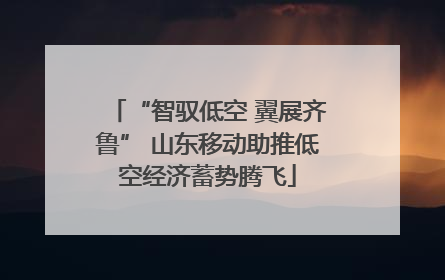 “智驭低空 翼展齐鲁” 山东移动助推低空经济蓄势腾飞