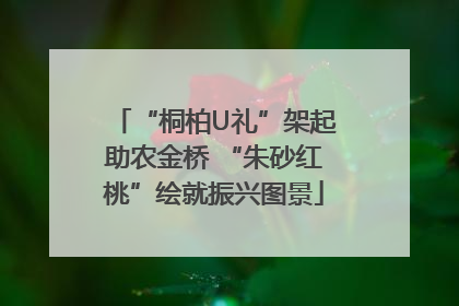 “桐柏U礼”架起助农金桥 “朱砂红桃”绘就振兴图景