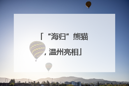 “海归”熊猫，温州亮相