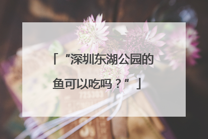“深圳东湖公园的鱼可以吃吗？”