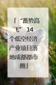 “蓄势高飞” 14个低空经济产业项目落地成都都市圈