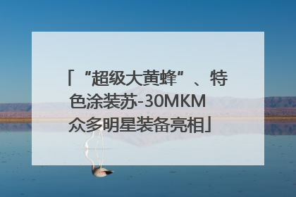“超级大黄蜂”、特色涂装苏-30MKM 众多明星装备亮相