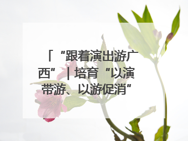“跟着演出游广西”｜培育“以演带游、以游促消”文旅消费新生态