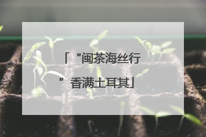 “闽茶海丝行”香满土耳其