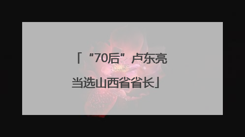 “70后”卢东亮当选山西省省长