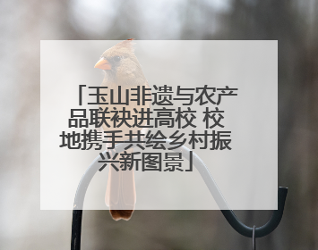 玉山非遗与农产品联袂进高校 校地携手共绘乡村振兴新图景