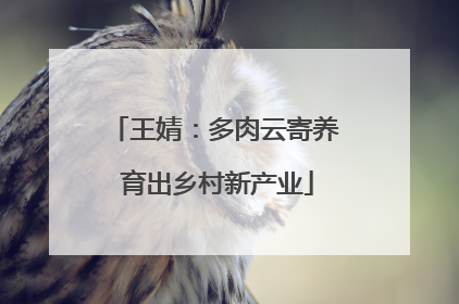 王婧：多肉云寄养 育出乡村新产业