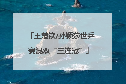 王楚钦/孙颖莎世乒赛混双“三连冠”