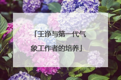 王诤与第一代气象工作者的培养