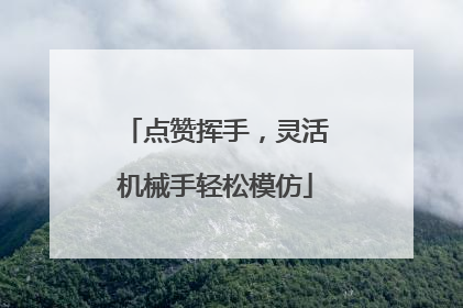 点赞挥手，灵活机械手轻松模仿