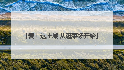 爱上这座城 从逛菜场开始