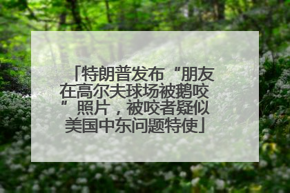 特朗普发布“朋友在高尔夫球场被鹅咬”照片，被咬者疑似美国中东问题特使
