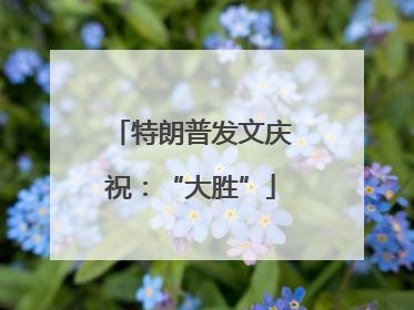 特朗普发文庆祝：“大胜”
