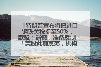 特朗普宣布将把进口钢铁关税提至50%，欧盟：遗憾，准备反制！美股此前震荡，机构：美元正进入熊市