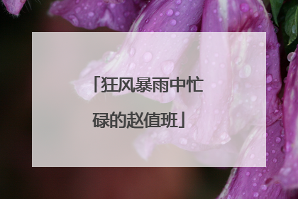 狂风暴雨中忙碌的赵值班