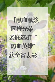 献血献浆同样光荣 娄底这群“热血英雄”获全省表彰