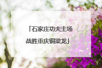 石家庄功夫主场战胜重庆铜梁龙