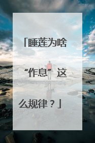 睡莲为啥“作息”这么规律？