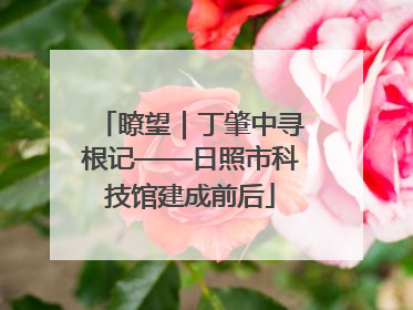 瞭望｜丁肇中寻根记——日照市科技馆建成前后