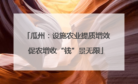 瓜州：设施农业提质增效 促农增收“钱”景无限