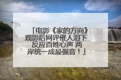 电影《家的方向》观影后网评催人泪下 反应百姓心声 两岸统一成最强音！