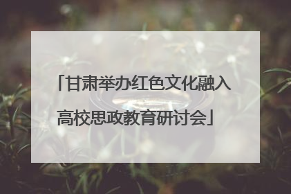甘肃举办红色文化融入高校思政教育研讨会