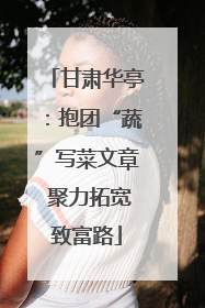 甘肃华亭：抱团“蔬”写菜文章 聚力拓宽致富路