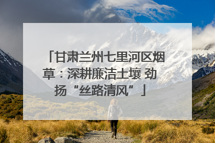 甘肃兰州七里河区烟草：深耕廉洁土壤 劲扬“丝路清风”