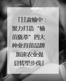 甘肃榆中：聚力打造“榆苗陇萃”四大种业育苗品牌 加速农业强县转型步伐